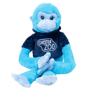 Blue Hanging Monkey